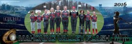 Mahoning Valley Flash.jpg